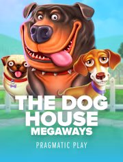 The Dog House Megaways Vavada